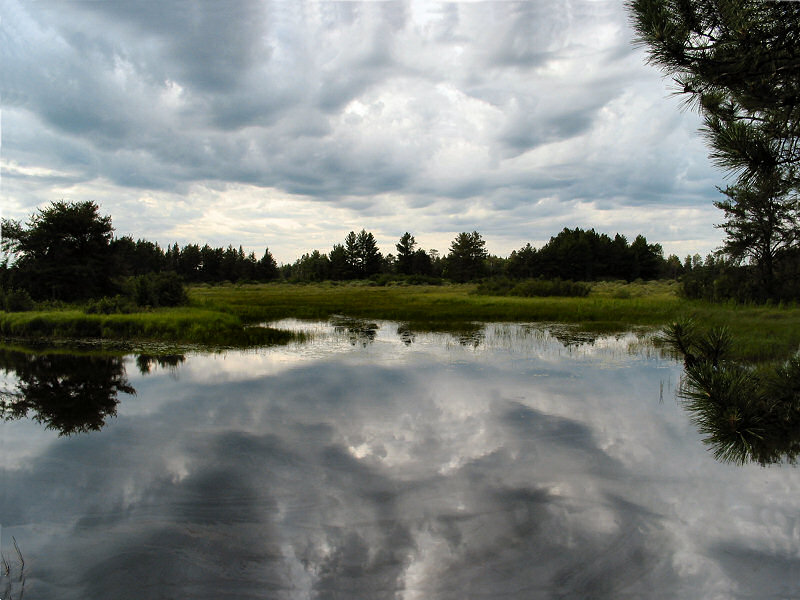 Seney Clouds